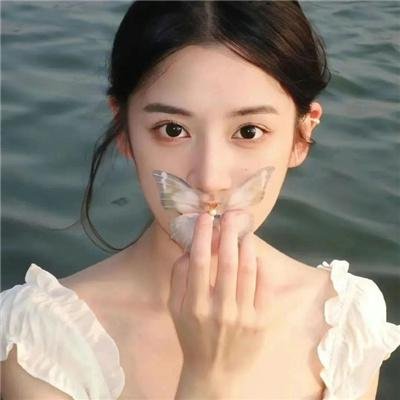 北平无战事2014