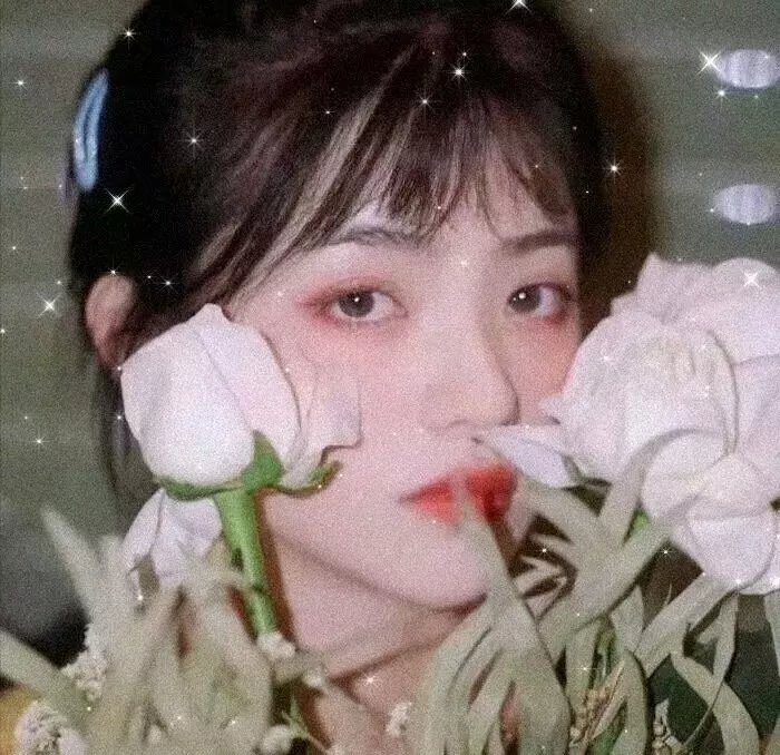 红河劫